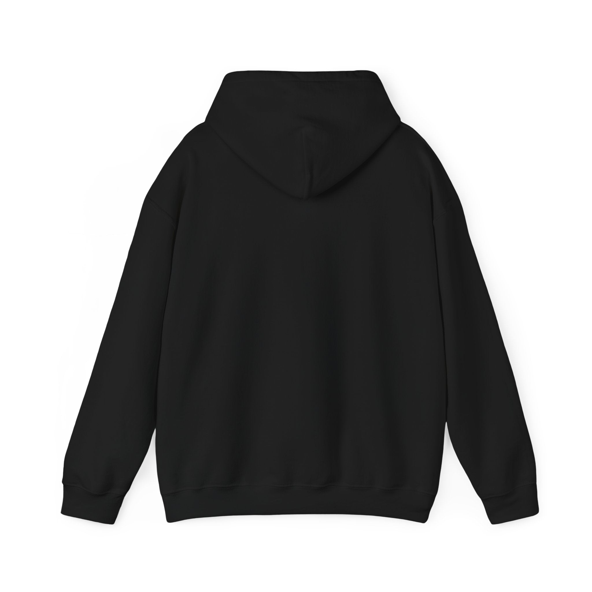 Copy of Hidden BTC Lion Hooded Sweatshirt