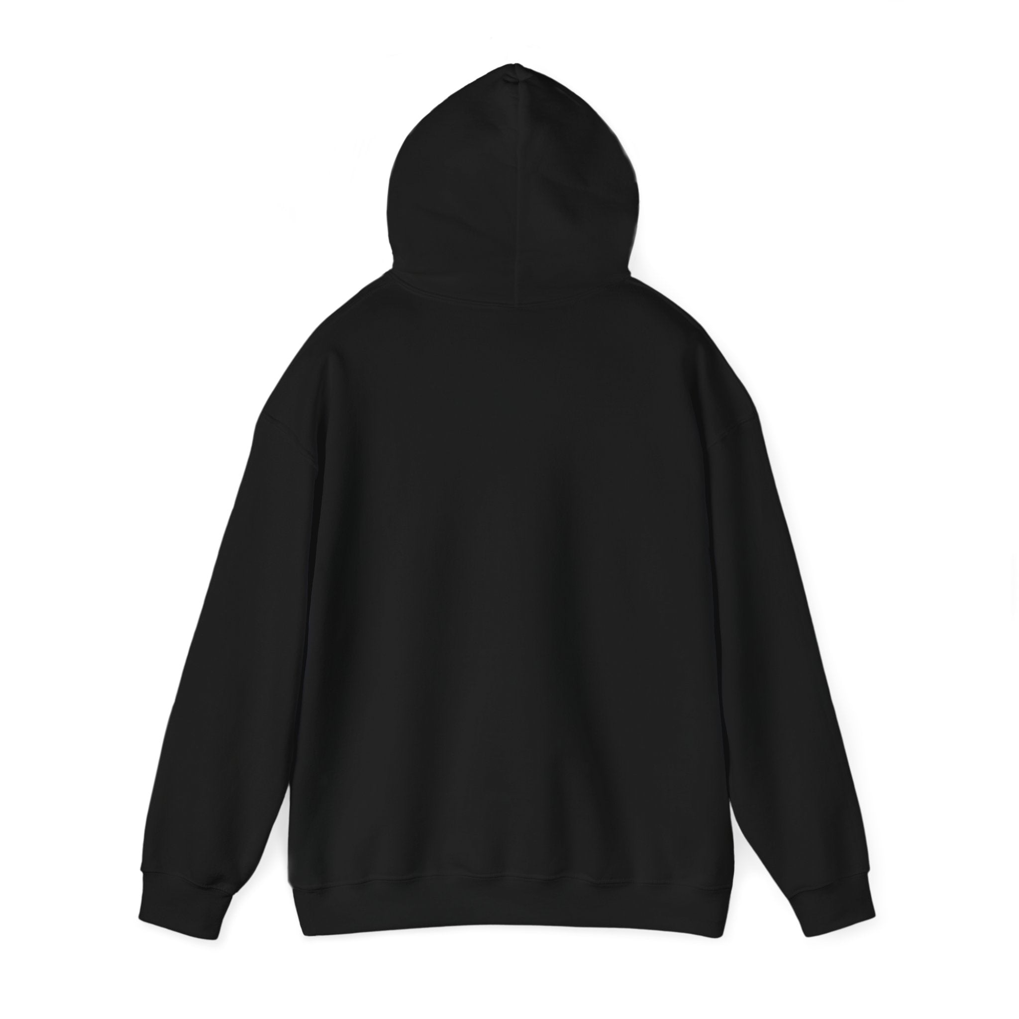 Copy of Hidden BTC Lion Hooded Sweatshirt