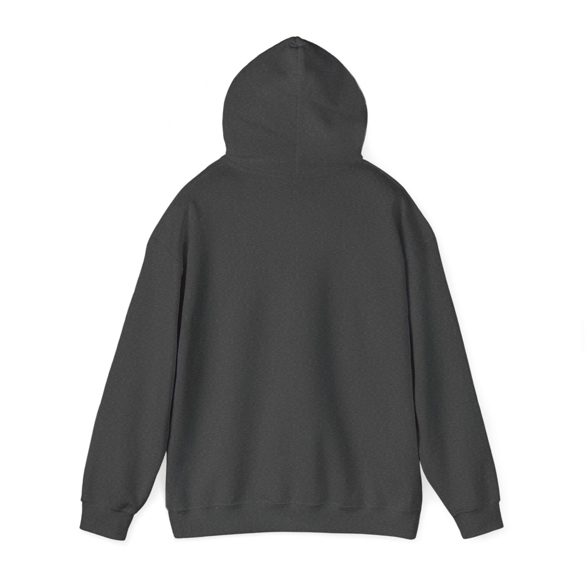 Copy of Hidden BTC Lion Hooded Sweatshirt